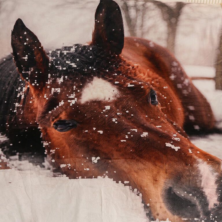 Barankowy koc KOŃ 150 x 200 cm - galeria #1