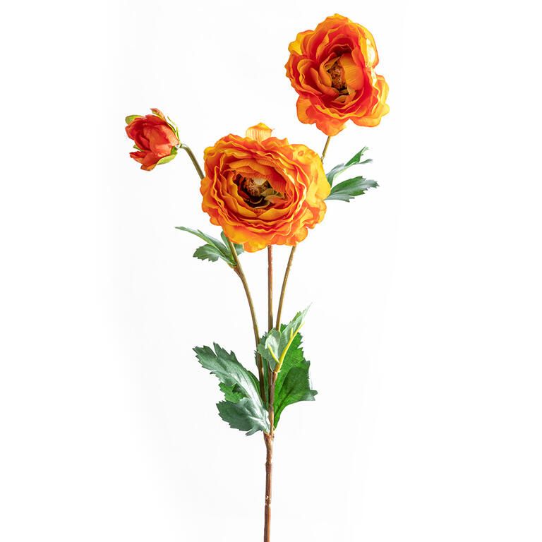 Bukiet JASKIER AZJATYCKI pomarańczowy, 66 cm, 3 gałązki