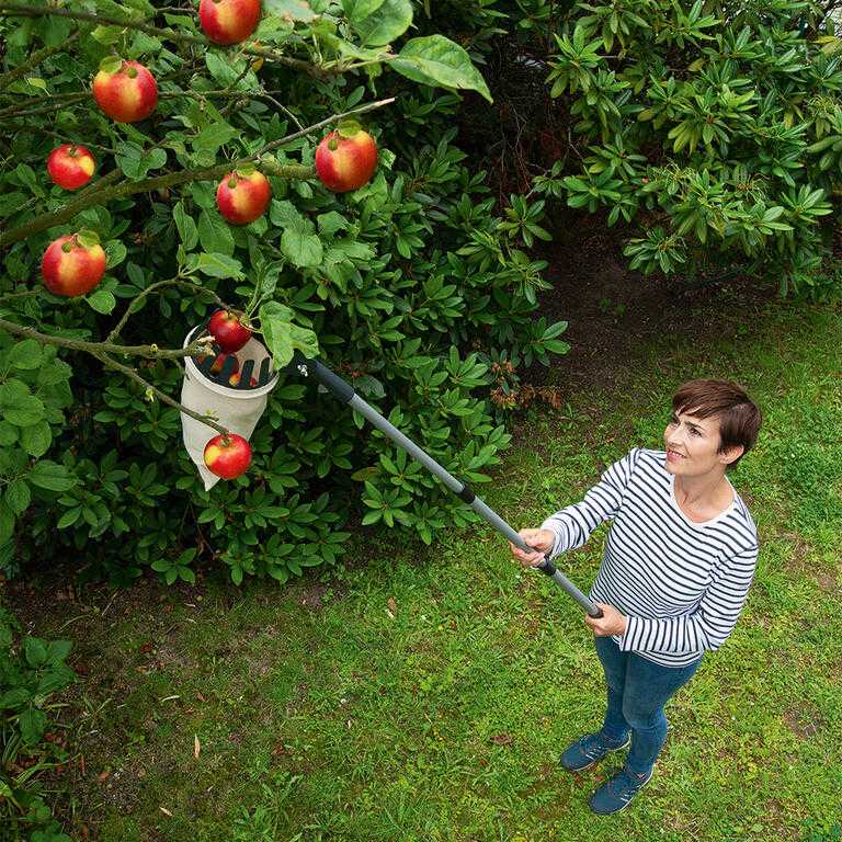 Zbierak do owoców z uchwytem teleskopowym